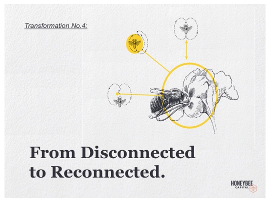 4-Disconnected to Reconnected